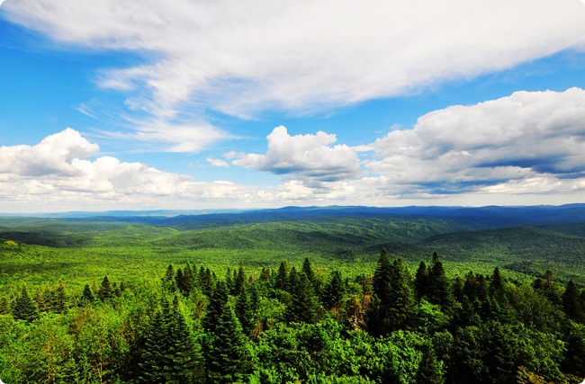 2025�Ї��֘I̼�R�lչ��棺�C���c����