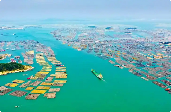 ���e̼������̼������O�I̼�R�ĸ������`