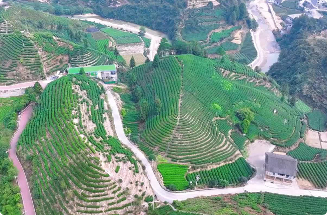 �r(n��ng)�I(y��)��(ji��)ˮ̼�R, ���K̼�R����, ���ݽ���, �S���̼Ʊ