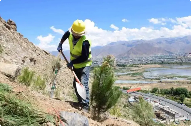 ����̼�R������Ҏ(gu��)����(sh��)ʩ