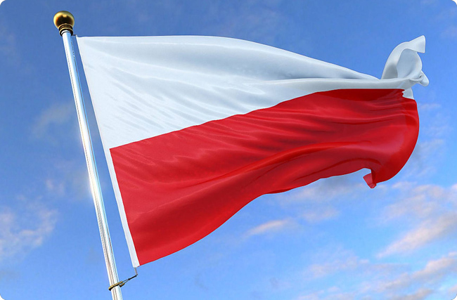 ���m�����ׂ�DAC̼�����Oʩ